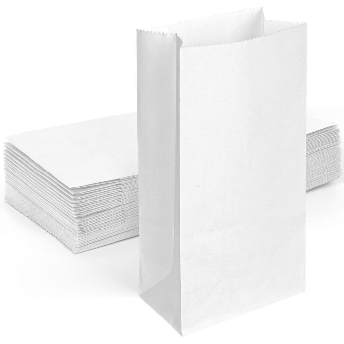 3KG V-Bottom Paper Bags (Pack of 100)